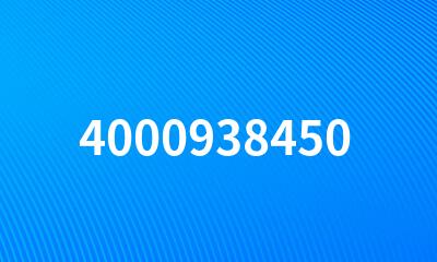 4000938450