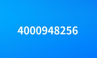 4000948256