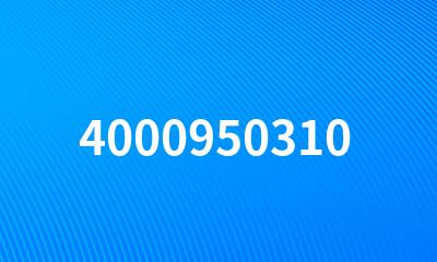 4000950310