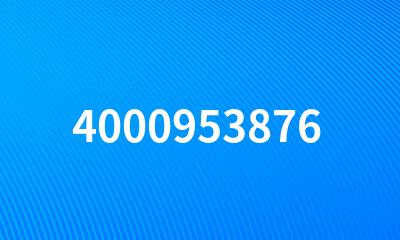 4000953876