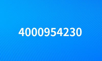 4000954230