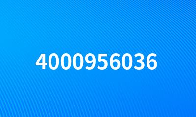 4000956036