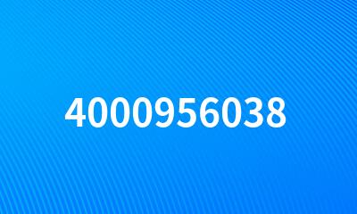 4000956038