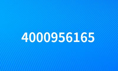 4000956165