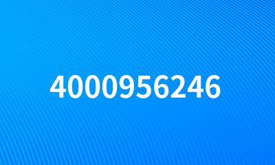 4000956246