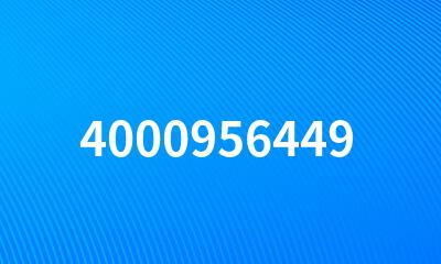 4000956449