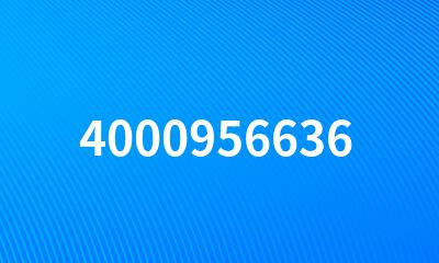 4000956636