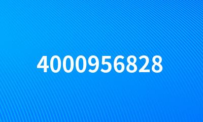 4000956828