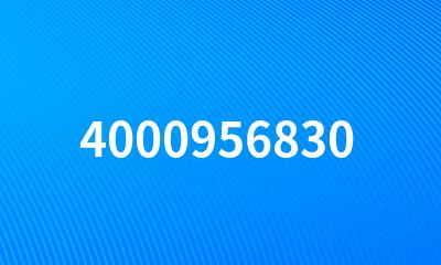 4000956830