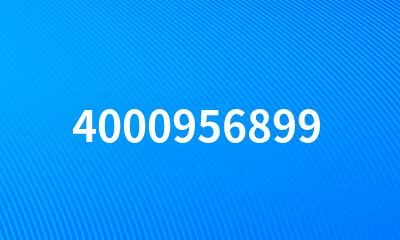 4000956899