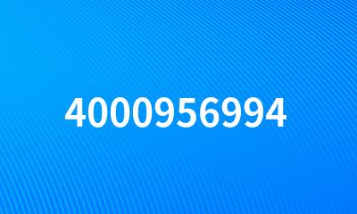 4000956994