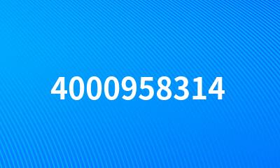 4000958314