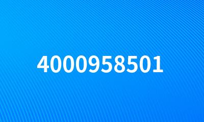 4000958501