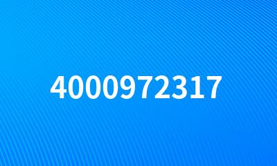 4000972317