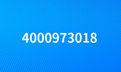 4000973018