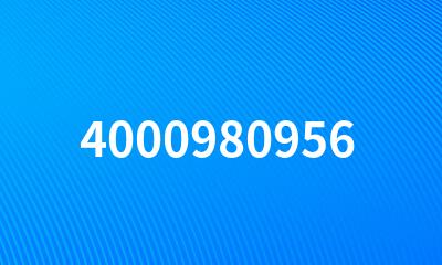 4000980956