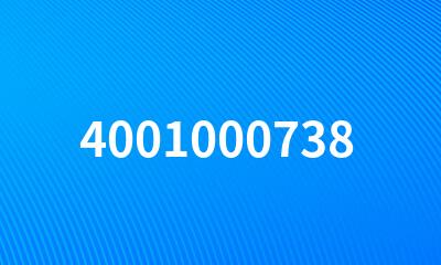 4001000738