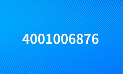 4001006876