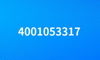 4001053317