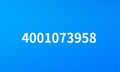 4001073958