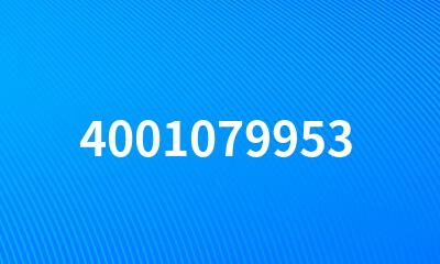 4001079953