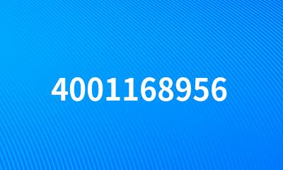 4001168956