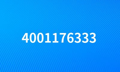 4001176333