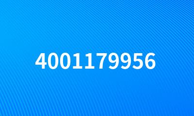 4001179956