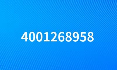 4001268958