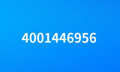 4001446956