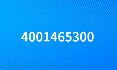 4001465300