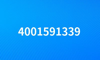 4001591339