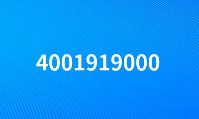 4001919000