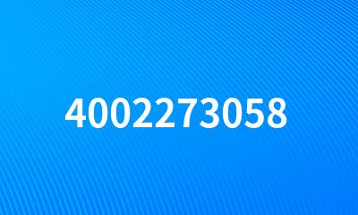 4002273058