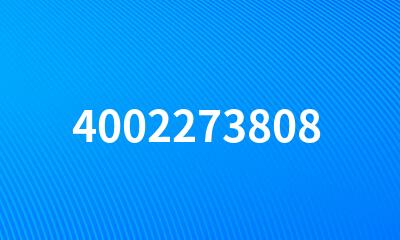 4002273808