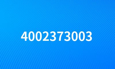 4002373003