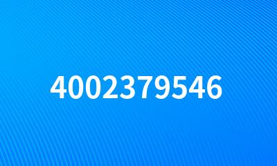 4002379546