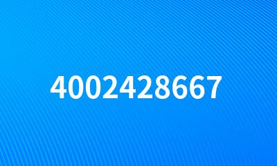 4002428667