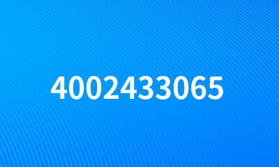 4002433065