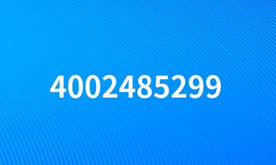 4002485299