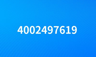 4002497619