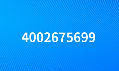 4002675699