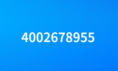 4002678955