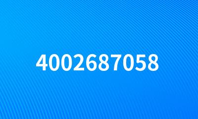 4002687058