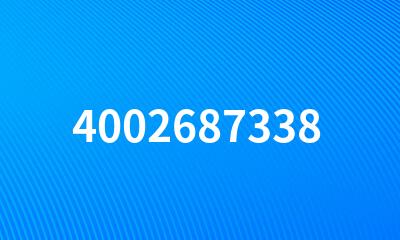 4002687338