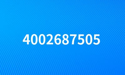 4002687505