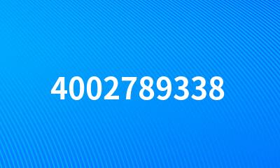 4002789338