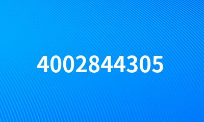 4002844305