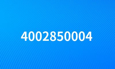 4002850004