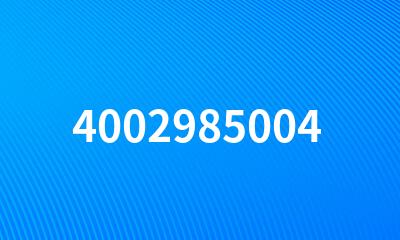 4002985004